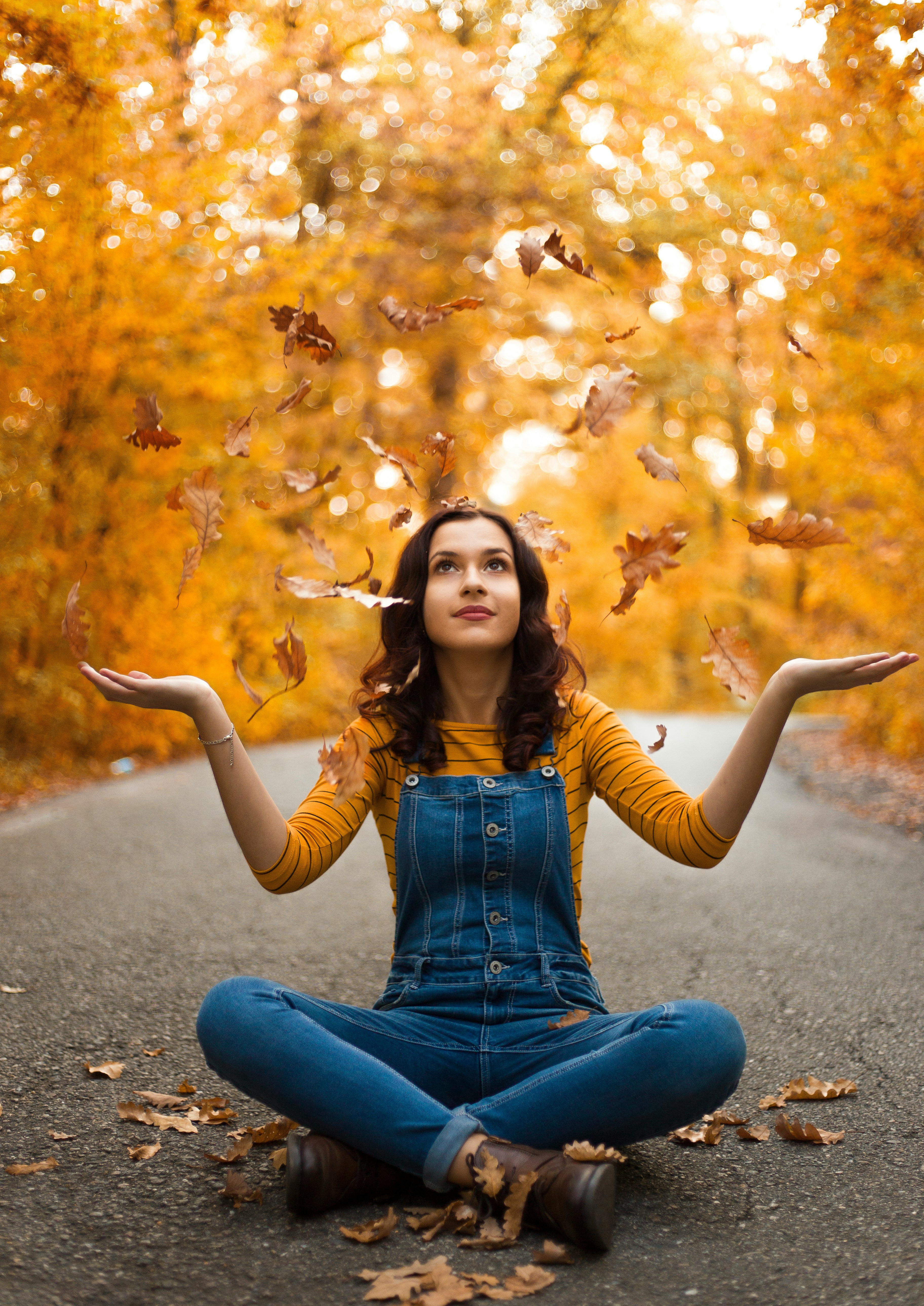 星空传剧原创MV免费播放品牌视觉图